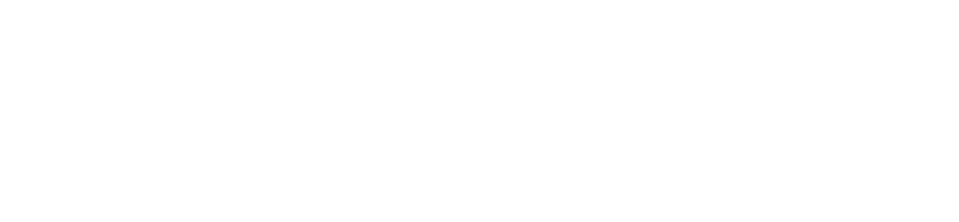 Logo Basami Trans